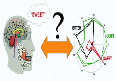 Lưỡi điện tử 